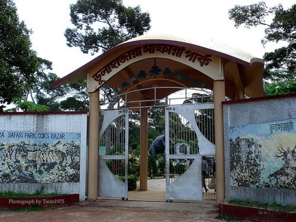 Dulhazra Safari Park1