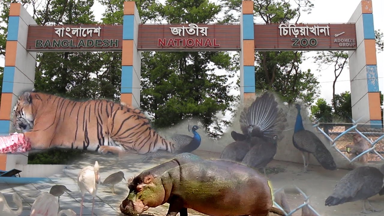 Bangladesh National Zoo